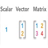 Vector and Matrix Quantities